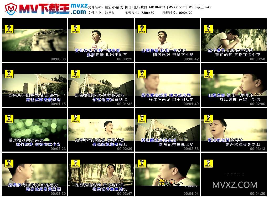 楼宏章-痛爱_国语_流行歌曲_MB104737